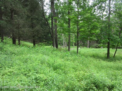 /international/us/airport-rd-lot-4-lexington-ny-110110088822/