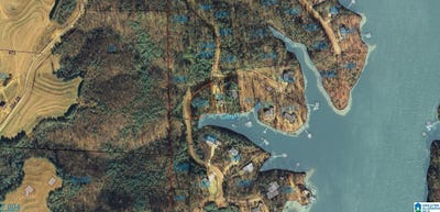 /international/us/county-road-283-lot-8-arley-al-110108609893/