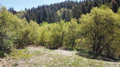 /international/us/lot-9-whispering-pines-road-pocatello-id-110096933768/