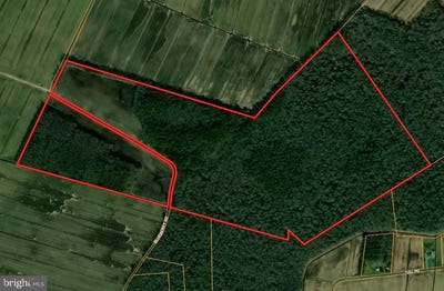 /international/us/blueberry-road-whaleyville-md-110105907669/