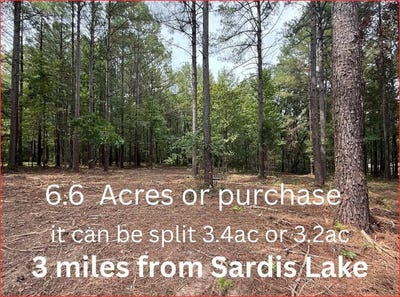 /international/us/hwy-315-sardis-ms-110106676625/