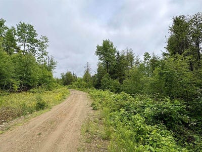 /international/us/lot-11-mt-jefferson-heights-lee-me-110109024314/