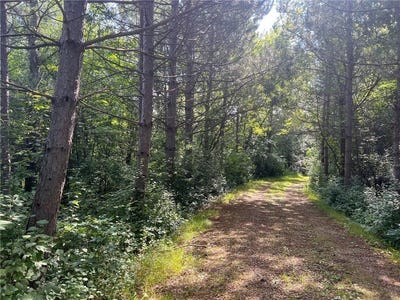 /international/us/tbd-polk-street-nw-elk-river-mn-110098129827/