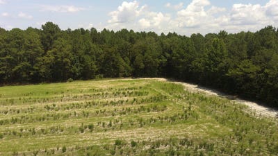 /international/us/829-0-whittington-road-bunnlevel-nc-110101120311/?lang=zh-tw