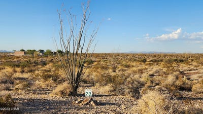 /international/us/lot-22-w-wilshire-rd-yucca-az-110087736606/?lang=zh-tw