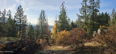 /international/us/125-tracker-way-priest-river-id-110108237529/