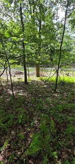 /international/us/18-16-bay-du-bois-pa-110108886596/