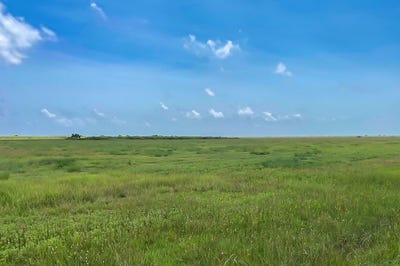 /international/us/lot-2-chambliss-rd-sargent-tx-110109082297/