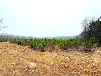 /international/us/sidney-ellzey-road-tylertown-ms-110105865014/
