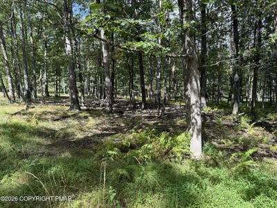 /international/us/1410-mohawk-trail-albrightsville-pa-110109101261/?lang=de