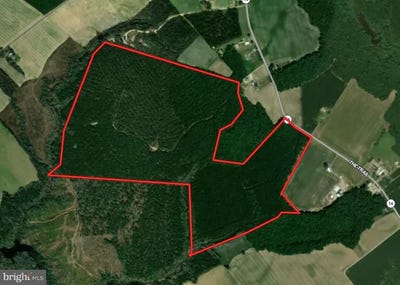 /international/us/the-trail-mattaponi-va-110107353262/