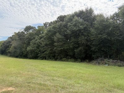 /international/us/6-ac-hwy-134-headland-al-110110269437/