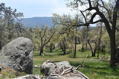 /international/us/29451-surrey-way-tehachapi-ca-110109662684/