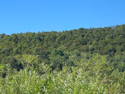 /international/us/00-county-hwy-14-east-meredith-ny-110106370318/