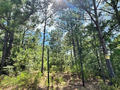 /international/us/410-firetower-road-cusseta-ga-110101124229/
