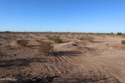 /international/us/313xx-w-flower-street-w-buckeye-az-110120018632/