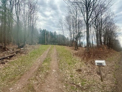 /international/us/1980-swart-hollow-road-oneonta-ny-110107310665/