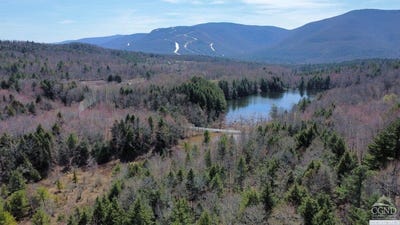 /international/us/0-ford-hill-road-jewett-ny-110099921046/?lang=zh-cn