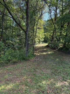 /international/us/oakville-road-gladstone-va-110110167648/