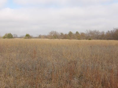 /international/us/70-acres-hedge-rd-atoka-co-ok-coleman-ok-110104217799/