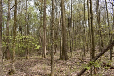 /international/us/off-hunt-road-pittsfield-pa-110109182336/