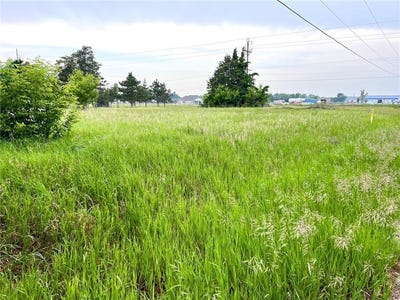 /international/us/22579-fordham-road-wakefield-twp-mn-110100117704/