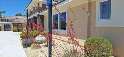 /international/us/16852-muscatel-hesperia-ca-110083347153/