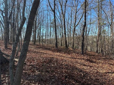 /international/us/charlie-lemley-road-dawsonville-ga-110120591476/