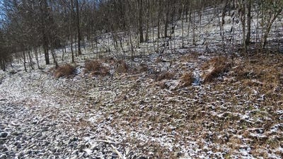 /international/us/bella-grace-drive-smithville-tn-110096922258/
