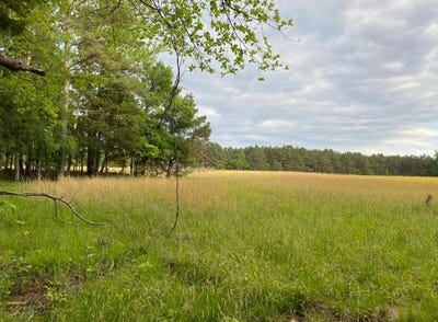 /international/us/330-lick-creek-rd-michie-tn-110099245562/