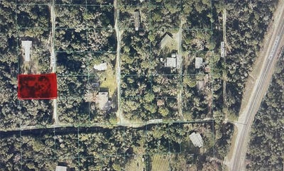 /international/us/20790-ne-146th-court-lot-6-fort-mc-coy-fl-110110379838/