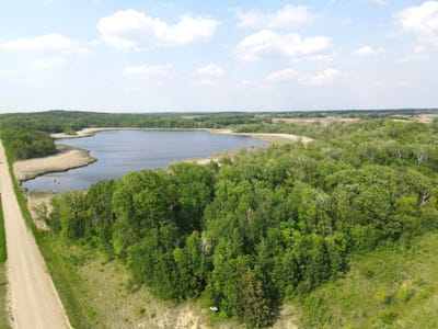 /international/us/parcel-tbd-250th-street-mahnomen-mn-110108773330/