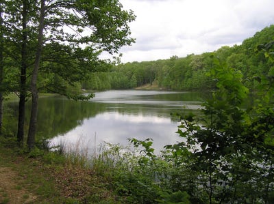 /international/us/100-valley-view-drive-altamont-tn-110107545381/