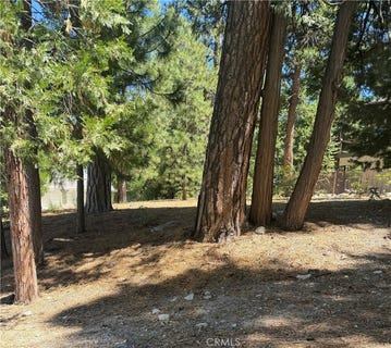 /international/us/27586-meadow-bay-lake-arrowhead-ca-110110195777/