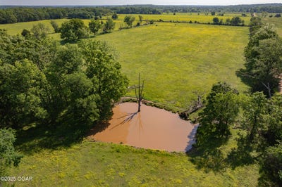 /international/us/tbd-cowskin-road-southwest-city-mo-110099450461/?lang=en