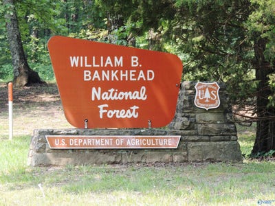 /international/us/22-4-acres-county-road-9-moulton-al-110089407155/?lang=zh-cn