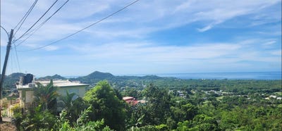 /international/us/carr-412-km-4-8-calle-pascual-nieves-bo-calvache-rincon-pr-110103603326/