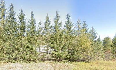 /international/us/2565-s-larks-lake-road-harbor-springs-mi-110107456161/