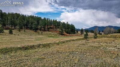 /international/us/188-high-pasture-road-florissant-co-110100726562/