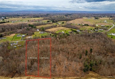 /international/us/daily-road-westmoreland-ny-110100155646/