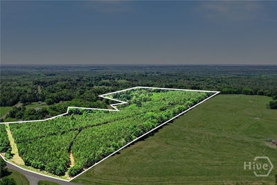 /international/us/x0x0-court-ground-road-washington-ga-110108585193/