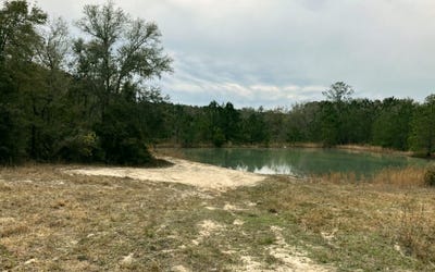 /international/us/wellborn-fl-110106119191/