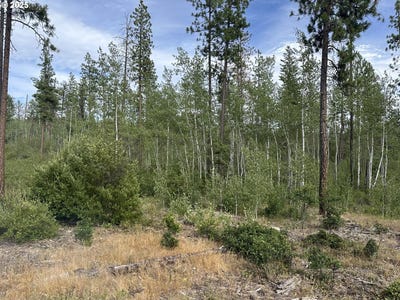 /international/us/5-greyback-mtn-rd-goldendale-wa-110102681309/
