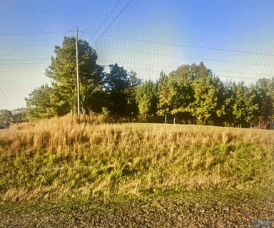 /international/us/0-80-acres-hwy-24-town-creek-al-110109000876/