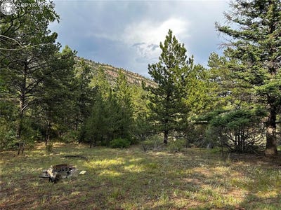 /international/us/758-basin-drive-cotopaxi-co-110101179809/?lang=it