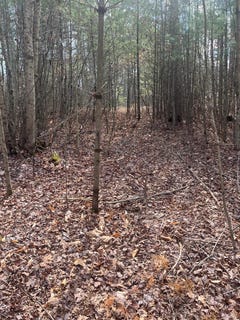 /international/us/0-lot-21-blue-ridge-lane-monroe-va-110106987858/