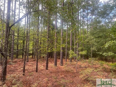 /international/us/scuffletown-rd-twin-city-ga-110105871063/