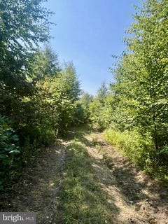 /international/us/25-beech-creek-mountain-road-beech-creek-pa-110100505480/