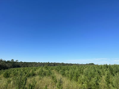 /international/us/parcel-d2-millside-road-laurel-hill-fl-110106276461/