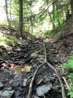 /international/us/dingman-hill-road-bainbridge-ny-110107060656/